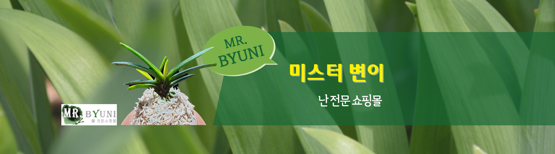 Mr.Byuni