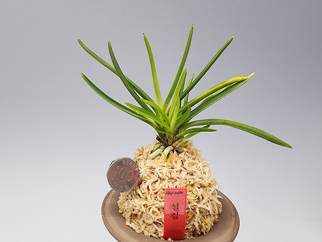 b3e00a245d1f8add6ad94c39f98e9f65_1762691471_4398.jpg b3e00a245d1f8add6ad94c39f98e9f65_1762691471_4398.jpg