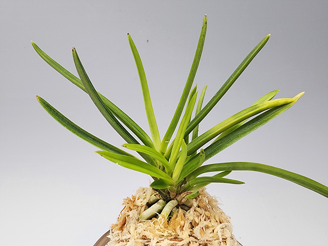 b3e00a245d1f8add6ad94c39f98e9f65_1762691471_4848.jpg b3e00a245d1f8add6ad94c39f98e9f65_1762691471_4848.jpg