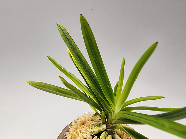 b3e00a245d1f8add6ad94c39f98e9f65_1762691471_5611.jpg b3e00a245d1f8add6ad94c39f98e9f65_1762691471_5611.jpg