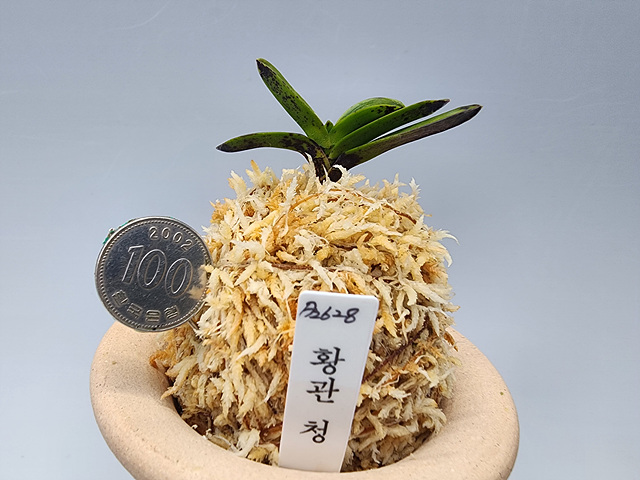 1b745be2f312b367010ed78e1575c02f_1771154645_6221.jpg 1b745be2f312b367010ed78e1575c02f_1771154645_6221.jpg