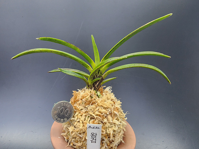 1f07fba2674574cef2998119c829d75c_1771761363_4788.jpg 1f07fba2674574cef2998119c829d75c_1771761363_4788.jpg