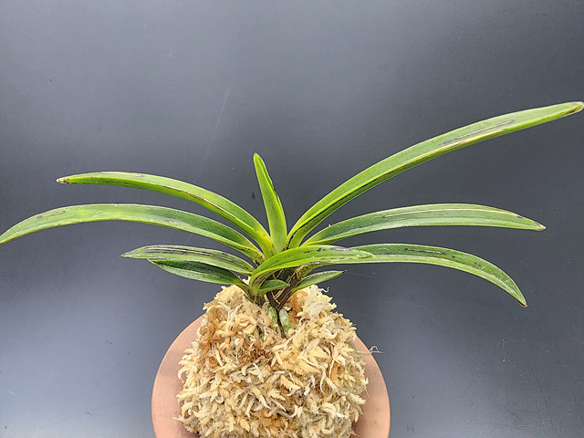 1f07fba2674574cef2998119c829d75c_1771761363_5404.jpg 1f07fba2674574cef2998119c829d75c_1771761363_5404.jpg