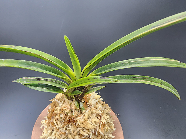 1f07fba2674574cef2998119c829d75c_1771761363_5988.jpg 1f07fba2674574cef2998119c829d75c_1771761363_5988.jpg