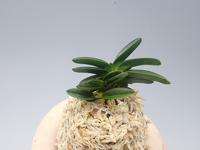 7a4ab9576dda721465f91264b87effbe_1769944459_4272.jpg 7a4ab9576dda721465f91264b87effbe_1769944459_4272.jpg