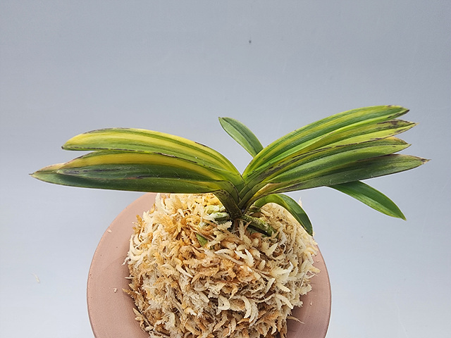 7a4ab9576dda721465f91264b87effbe_1769945324_7263.jpg 7a4ab9576dda721465f91264b87effbe_1769945324_7263.jpg