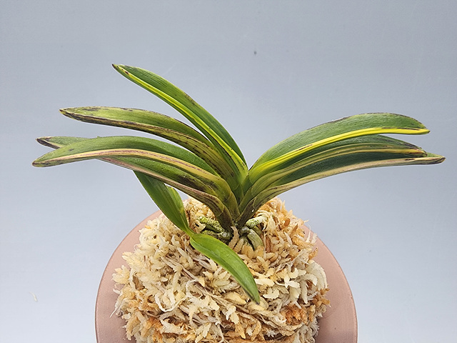 7a4ab9576dda721465f91264b87effbe_1769945324_7642.jpg 7a4ab9576dda721465f91264b87effbe_1769945324_7642.jpg