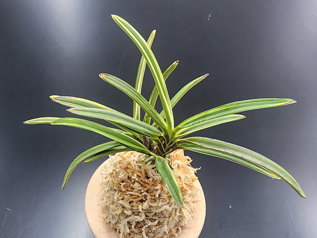 2ae0eabcb2e58798db9e10fba994ce84_1773574038_8912.jpg 2ae0eabcb2e58798db9e10fba994ce84_1773574038_8912.jpg