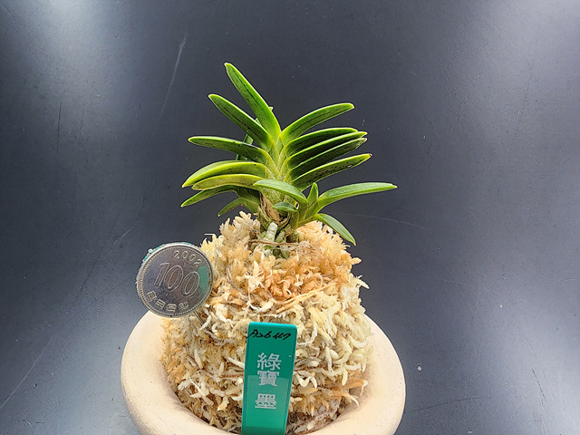 2ae0eabcb2e58798db9e10fba994ce84_1773574702_6257.jpg 2ae0eabcb2e58798db9e10fba994ce84_1773574702_6257.jpg