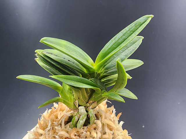 2ae0eabcb2e58798db9e10fba994ce84_1773574702_7371.jpg 2ae0eabcb2e58798db9e10fba994ce84_1773574702_7371.jpg