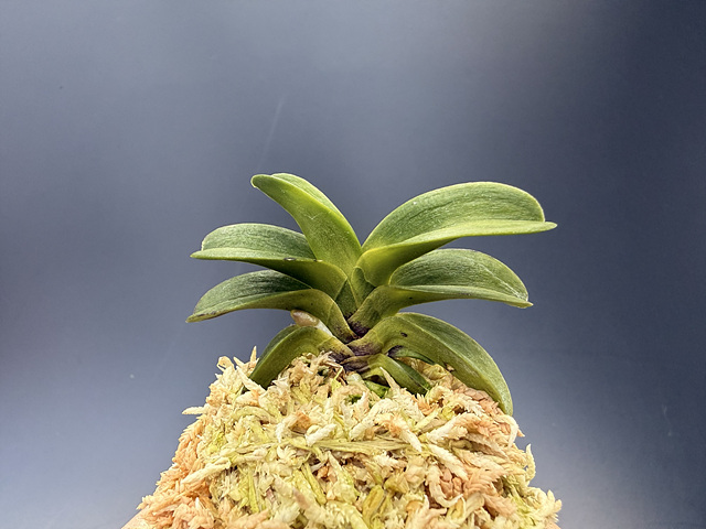 3d26e7e291f8f4fd7796bddd998a0935_1775389242_952.jpg 3d26e7e291f8f4fd7796bddd998a0935_1775389242_952.jpg