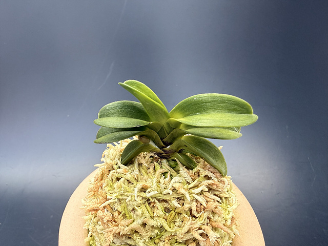 3d26e7e291f8f4fd7796bddd998a0935_1775389242_9887.jpg 3d26e7e291f8f4fd7796bddd998a0935_1775389242_9887.jpg