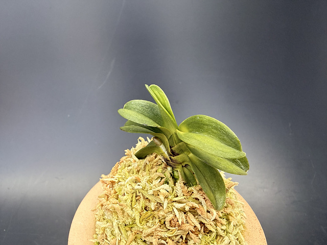 3d26e7e291f8f4fd7796bddd998a0935_1775389243_0256.jpg 3d26e7e291f8f4fd7796bddd998a0935_1775389243_0256.jpg