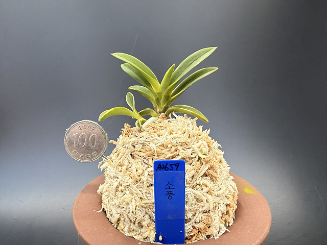 3d26e7e291f8f4fd7796bddd998a0935_1775389659_7741.jpg 3d26e7e291f8f4fd7796bddd998a0935_1775389659_7741.jpg