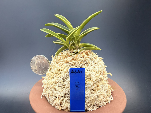 3d26e7e291f8f4fd7796bddd998a0935_1775389771_9129.jpg 3d26e7e291f8f4fd7796bddd998a0935_1775389771_9129.jpg