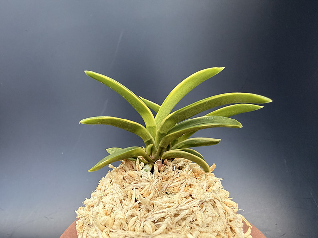 3d26e7e291f8f4fd7796bddd998a0935_1775389779_9772.jpg 3d26e7e291f8f4fd7796bddd998a0935_1775389779_9772.jpg