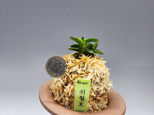 크게보기 클릭