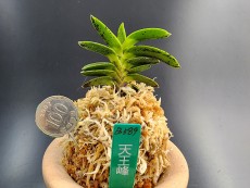 천왕봉