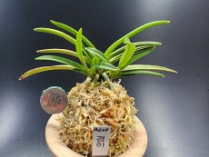 경하