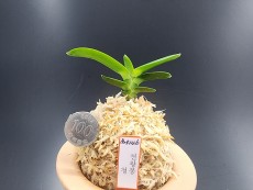 천왕봉 청