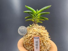 천왕봉