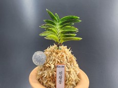 천왕봉