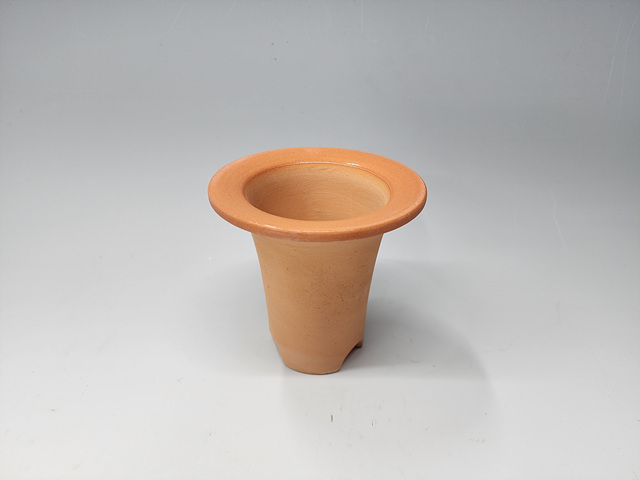 재배분(창분3호, 투명)