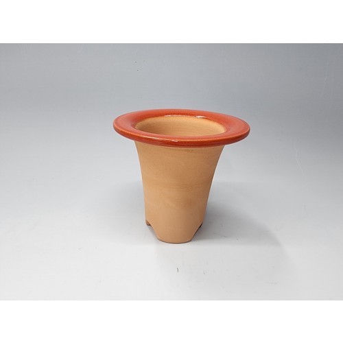 재배분(창분3호,레드)