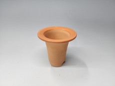 고급 재배분(창분3호) 투명