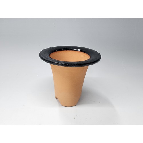 고급 재배분(창분3호)블랙