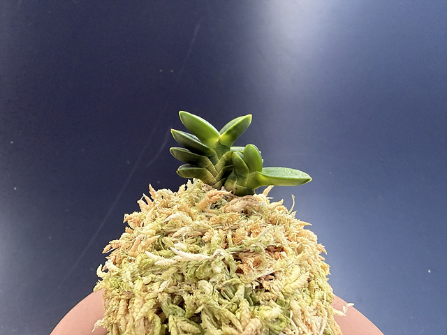 불이환